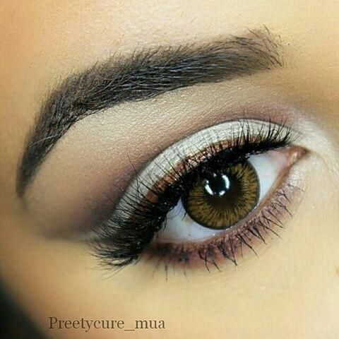 Kazzue Premier Brown Lens