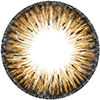 Kazzue Premier Brown Lens